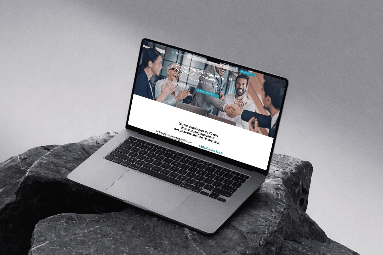 Réalisation Studio Nineteen pour LESConsulting